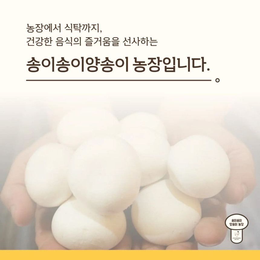 [무료배송] 자연의 신선함을 담은 부여 명품 친환경 양송이버섯 1kg, 2kg 상세정보1