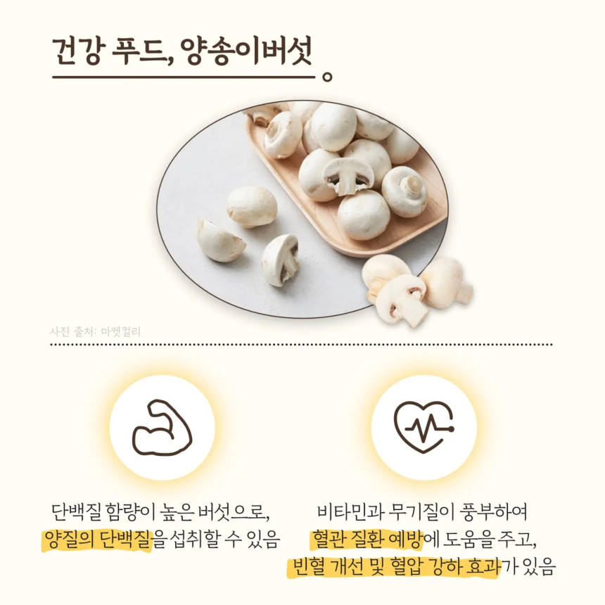 [무료배송] 자연의 신선함을 담은 부여 명품 친환경 양송이버섯 1kg, 2kg 상세정보3